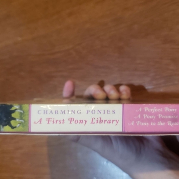 3/$15 Charming ponies 3 book set - summer reading a perfect pony, a pony promise - Picture 4 of 8